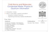 Cold Atoms and Molecules: Condensed Matter Physics & Quantum ...