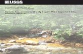 Aquatic Assessment of the Ely Copper Mine Superfund Site ...
