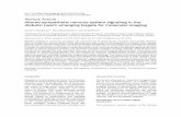 Review Article Altered sympathetic nervous system signaling in the ...