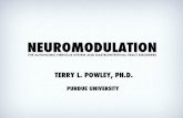 Neuromodulation: The Autonomic Nervous System and ...