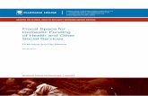 Programme Paper: Fiscal Space for Domestic Funding of Health and ...