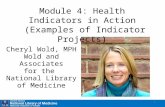 Health Indicators in Action (Examples of Indicator Projects) - Module 4