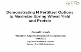 Nitrogen Fertilizer Options for Wheat Yield and Protein