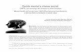 Mental health and social class: CAPS (Psychosocial Care Centers ...