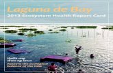 2013 Ecosystem Health Report Card