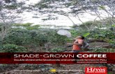 Report on shade grown coffee