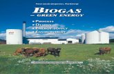 Biogas – Green Energy Process, Design, Energy Supply, Environment