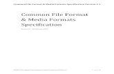 Common File Format & Media Formats Specification Version 2.1