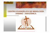 Documentation at Centro Evangelico de Misiologia Andino-Amazonica