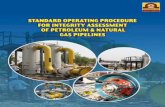 Guidelines for Integrity Assessment of Cross Country Pipelines