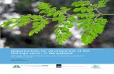 Opportunities for development of the Moringa sector in Bangladesh