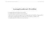 Longitudinal Profile