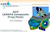 ACP (ANSYS Composite Prep/Post)