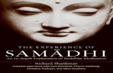 The experience of samadhi: an in-depth exploration of Buddhist ...