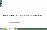 Constructing an opportunity cost curve