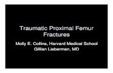 Traumatic Proximal Femur Fractures