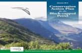 Conservation Action Plan Black-capped Petrel Conservation Action ...