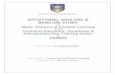 SITUATIONAL ANALYSIS & BASELINE STUDY ZAMBIA