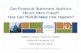 Can Financial Statement Auditors Detect More Fraud? How Can ...