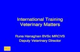 Veterinary matters - Runa Hanaghan