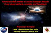Accretion disk winds in Active Galactic Nuclei: X-ray observations ...