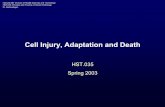 Cell Injury, Adaptation and Death