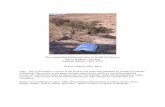Addison 2011 Documenting Deforestation in Petra Region, Jordan,.pdf