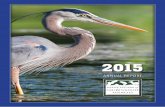 AFWA Annual Report 2015