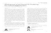 Development of the Process for Producing Pre-reduced Agglomerates