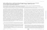 Identification of Novel Endogenous Cytochrome P450 Arachidonate ...