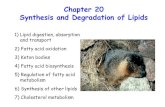 Chapter 20 Synthesis and Degradation of Lipids