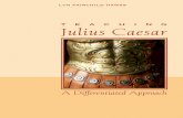 Julius Caesar: A Differentiated