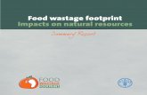 Food wastage footprint: Impacts on natural resources - Summary ...