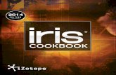 iZotope Iris Cookbook, 2014 Edition | Virtual Synthesizer