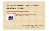 Enzyme-driven mechanisms in biocorrosion