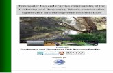 Freshwater fish and crayfish communities of the Carbunup and ...