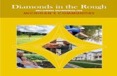 Reclaiming Brownfields for Michigan's Communities