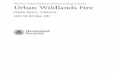 TR-007 Urban Wildlands Fire, Pebble Beach,California