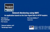 Network Monitoring Using MMT (Montimage Monitoring Tool)
