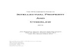 Intellectual Property And Cyberlaw