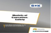 Models of Causation: Safety