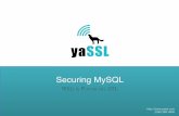 Securing MySQL