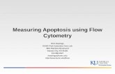 Measuring Apoptosis using Annexin V and Flow Cytometry