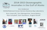 2014-2015 Oceanographic Anomalies in the Gulf of Alaska