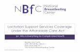 Webinar Slides: National Breastfeeding Center