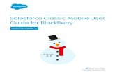 Salesforce Classic Mobile User Guide for BlackBerry