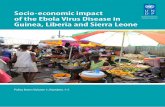 Socio-economic impact of the Ebola Virus Disease in Guinea ...