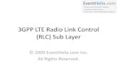 3GPP LTE Radio Link Control Sub Layer