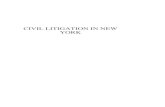 CIVIL LITIGATION IN NEW YORK