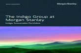 Indigo Sustainable Portfolios Brochure